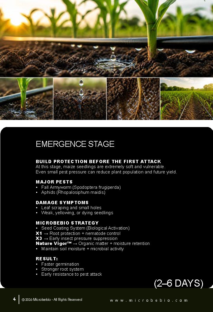 Guide to Controlling Maize Crop Pests by Growth Stage_Page_04