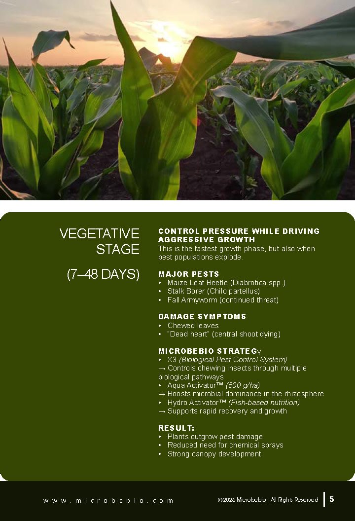 Guide to Controlling Maize Crop Pests by Growth Stage_Page_05