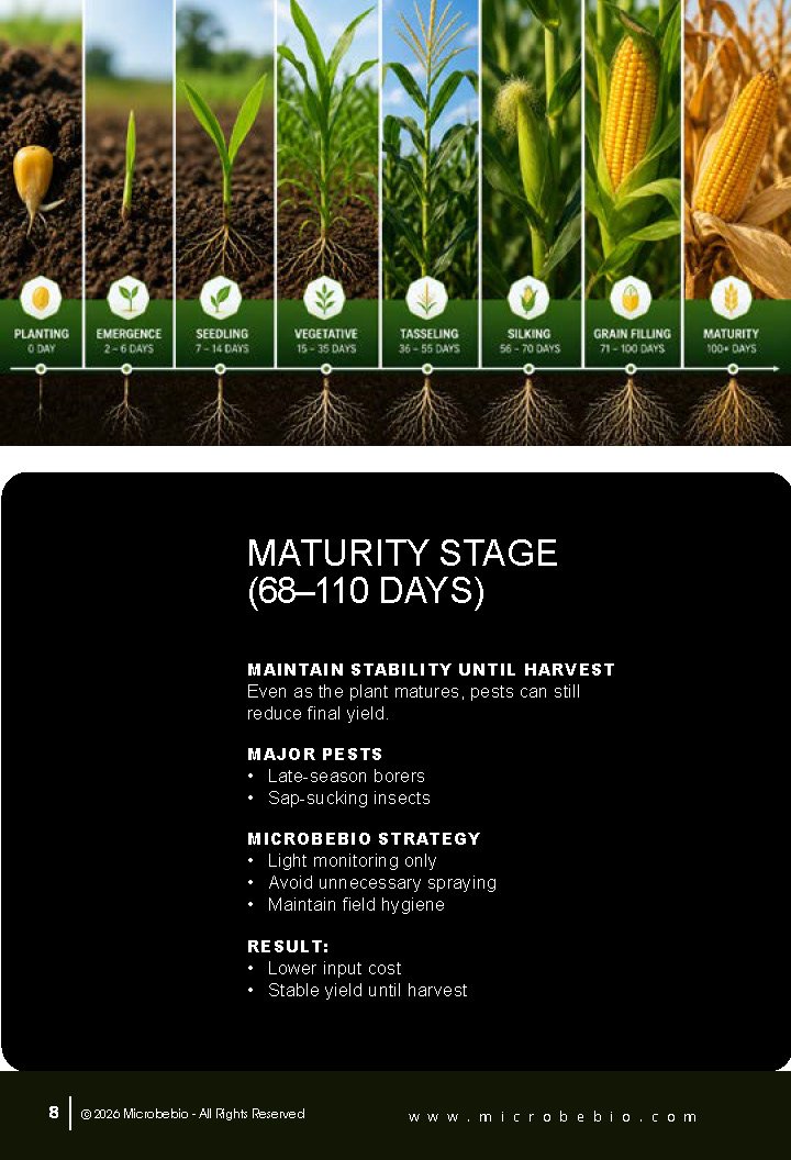 Guide to Controlling Maize Crop Pests by Growth Stage_Page_08