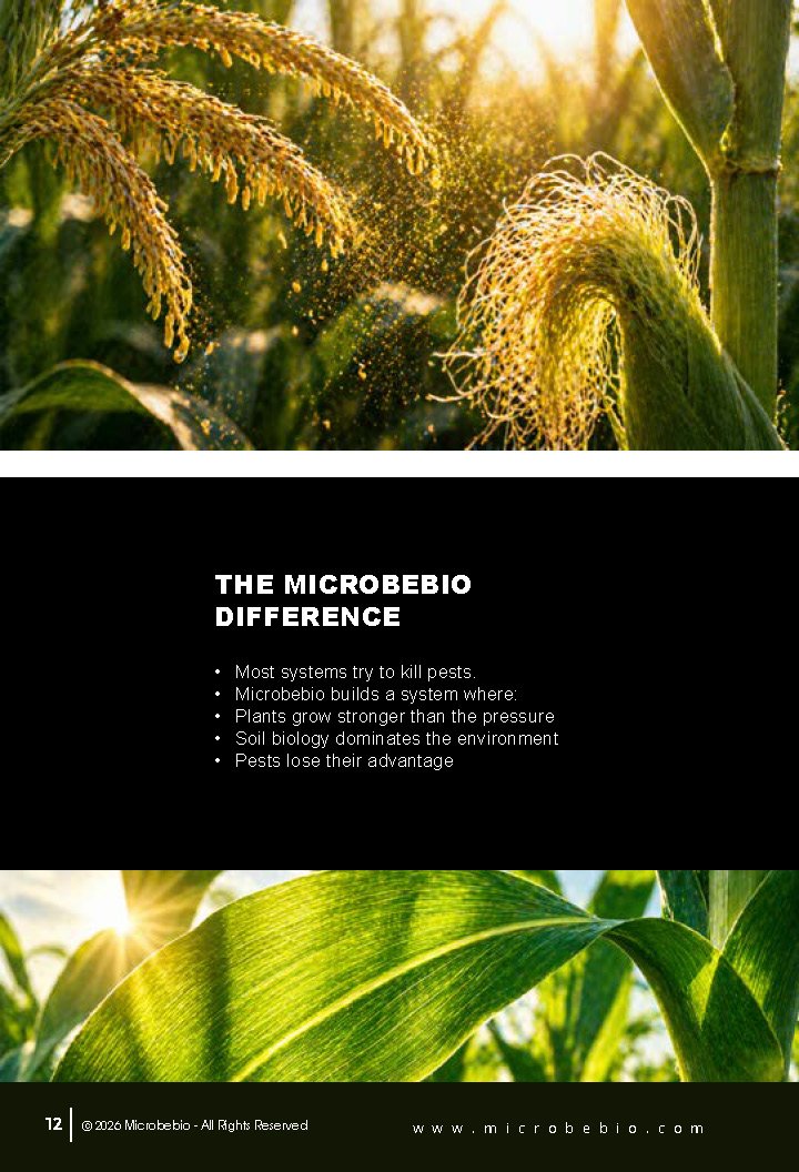 Guide to Controlling Maize Crop Pests by Growth Stage_Page_12