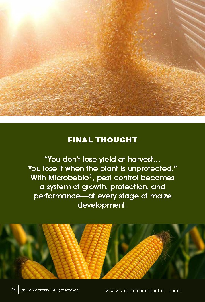 Guide to Controlling Maize Crop Pests by Growth Stage_Page_14