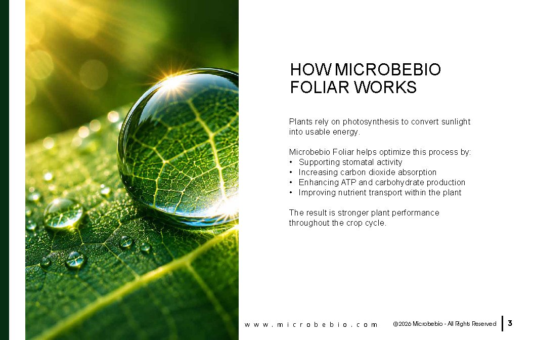 Microbebio FOLIAR_Page_03