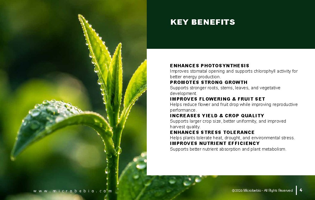 Microbebio FOLIAR_Page_04