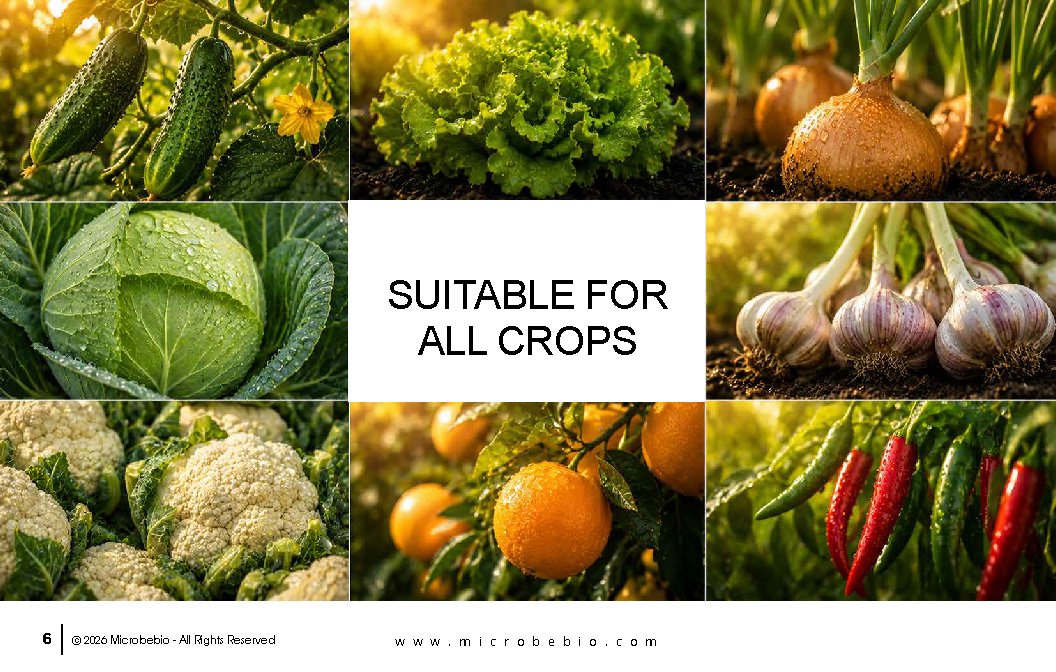 Microbebio FOLIAR_Page_06