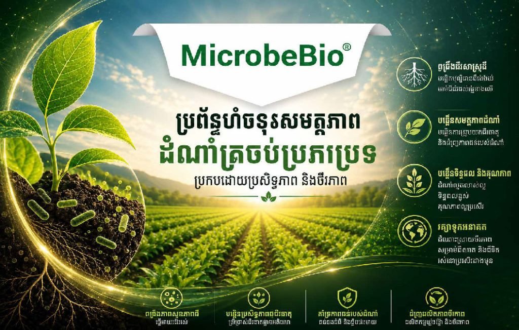 ប្រព័ន្ធបង្កើនប្រសិទ្ធភាពដំណាំរួមបញ្ចូលគ្នា MicrobeBio® ការដាំដុះជាមួយធម្មជាតិ តាមរយៈភាពសហការជីវសាស្ត្រ