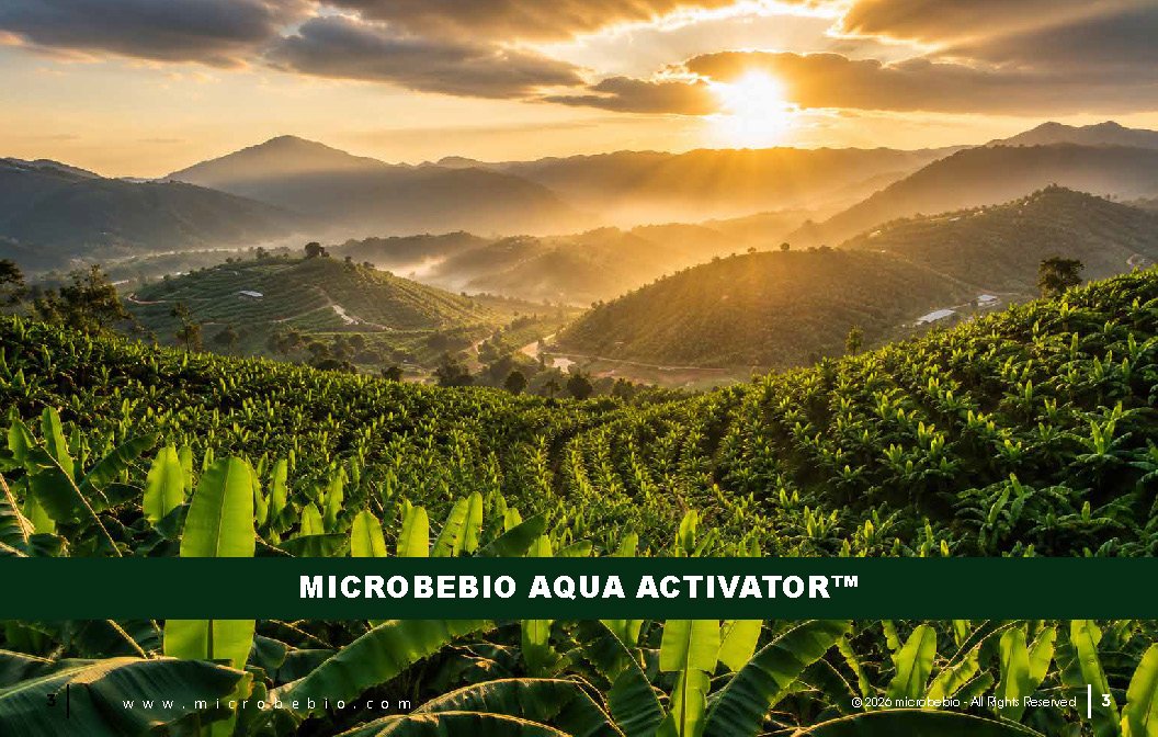 Microbebio - Integrated Crop Enhancement System_Page_03