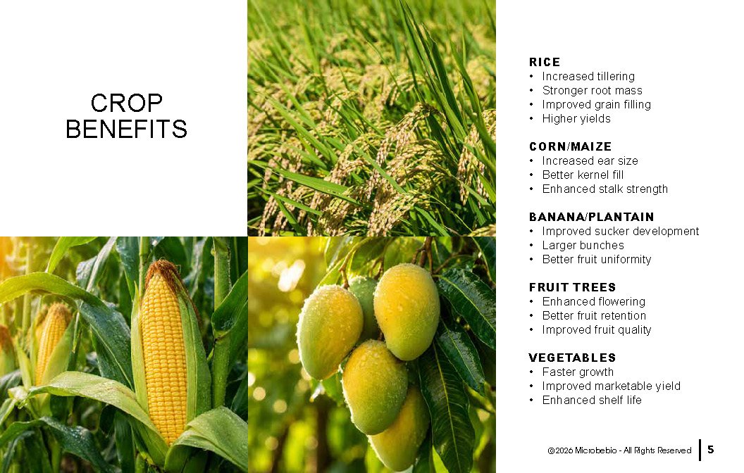 Microbebio - Integrated Crop Enhancement System_Page_05