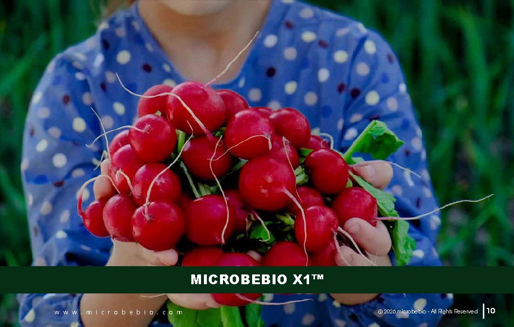 Microbebio - Integrated Crop Enhancement System_Page_10
