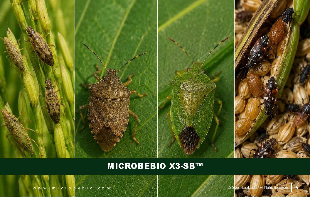 Microbebio - Integrated Crop Enhancement System_Page_14