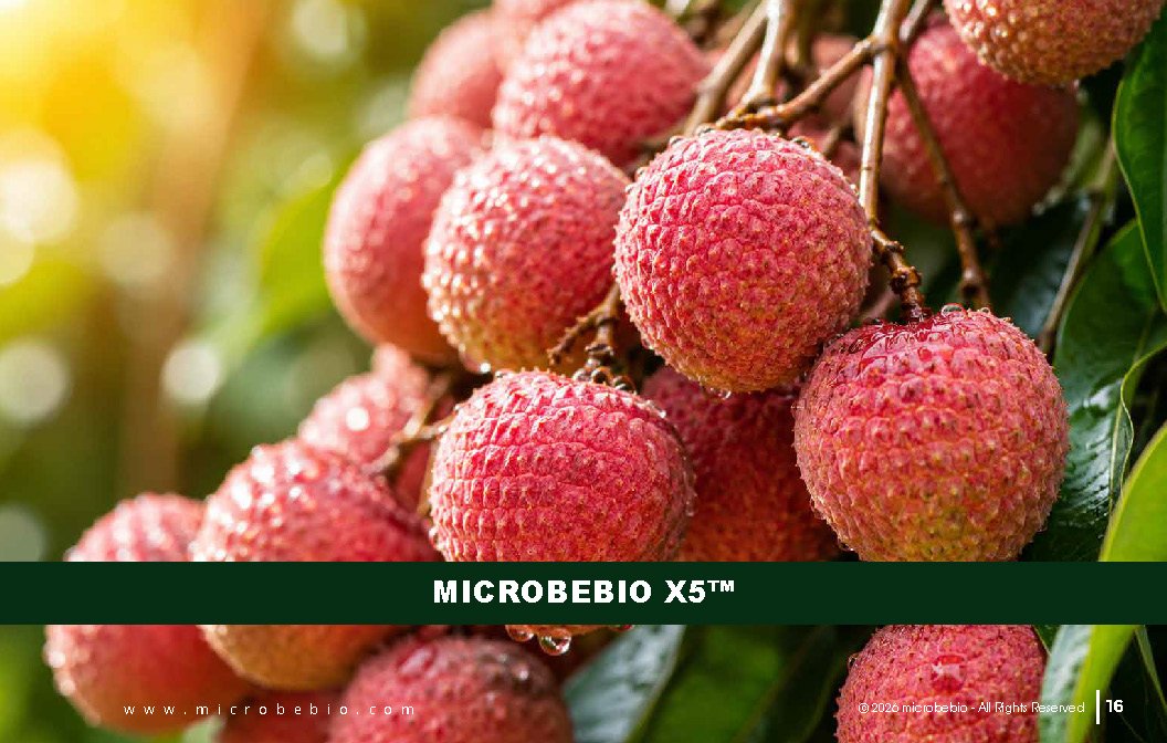 Microbebio - Integrated Crop Enhancement System_Page_16