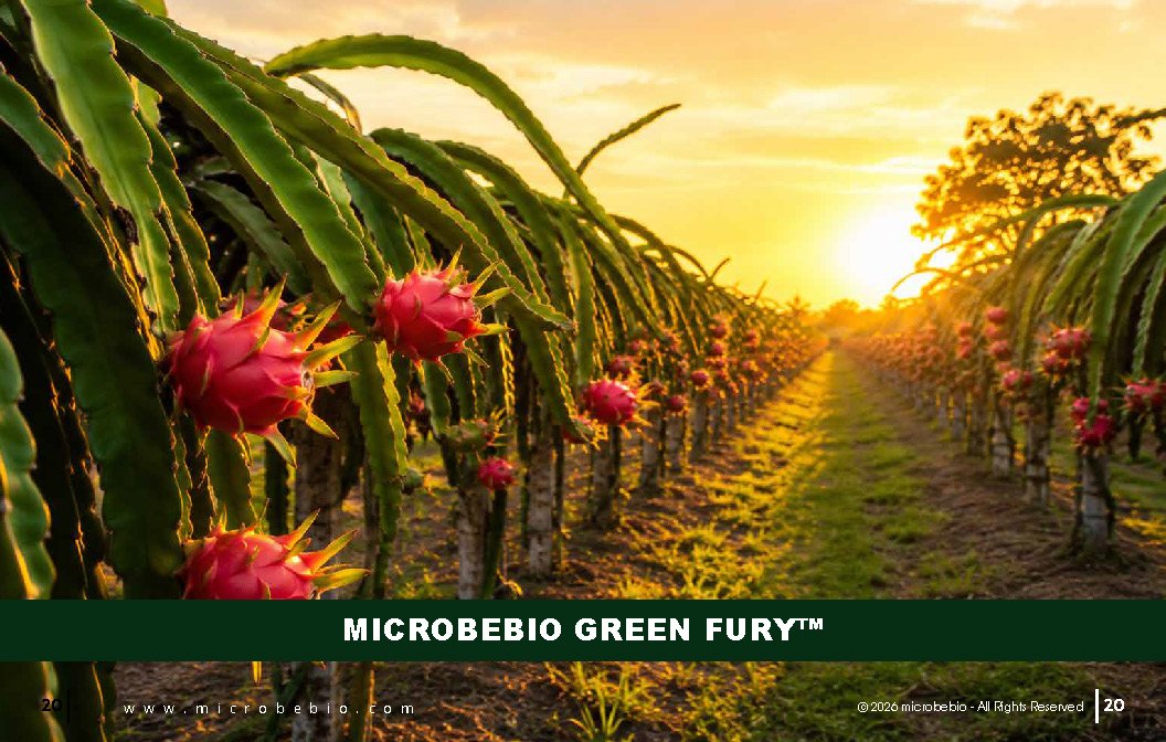 Microbebio - Integrated Crop Enhancement System_Page_20