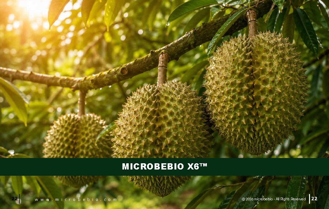 Microbebio - Integrated Crop Enhancement System_Page_22