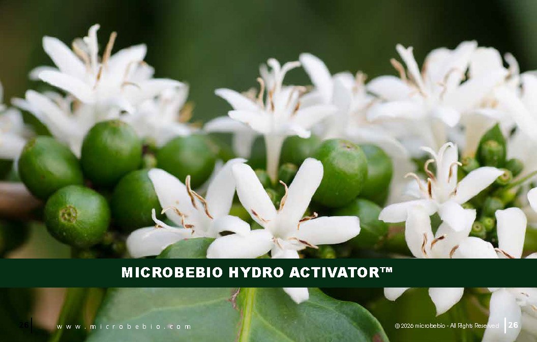 Microbebio - Integrated Crop Enhancement System_Page_26