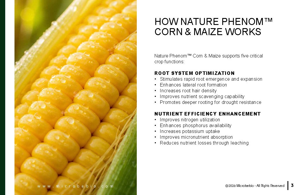 Microbebio NATURE PHENOM - Corn Maize_Page_03