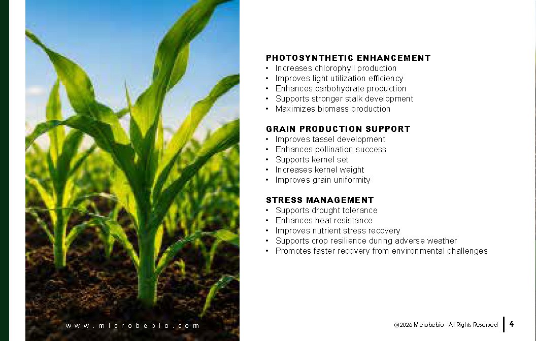 Microbebio NATURE PHENOM - Corn Maize_Page_04