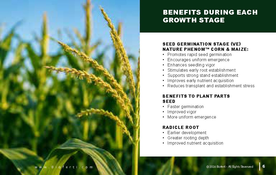 Microbebio NATURE PHENOM - Corn Maize_Page_06