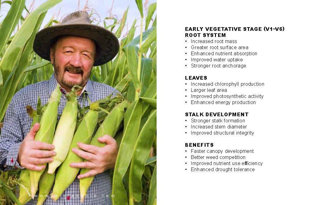 Microbebio NATURE PHENOM - Corn Maize_Page_07
