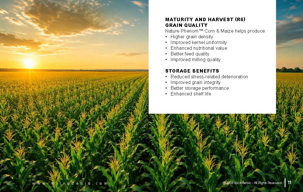 Microbebio NATURE PHENOM - Corn Maize_Page_11