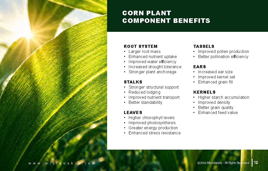Microbebio NATURE PHENOM - Corn Maize_Page_12