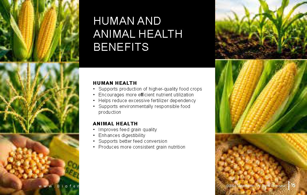 Microbebio NATURE PHENOM - Corn Maize_Page_15