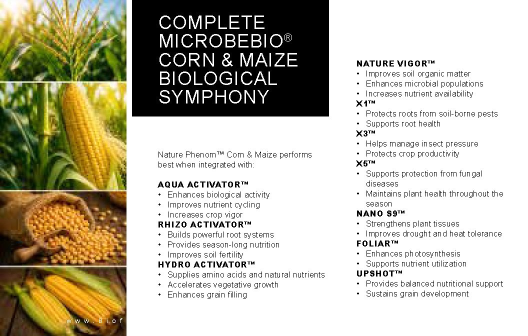 Microbebio NATURE PHENOM - Corn Maize_Page_16