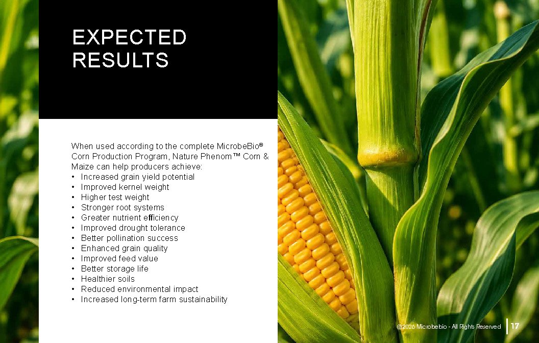 Microbebio NATURE PHENOM - Corn Maize_Page_17