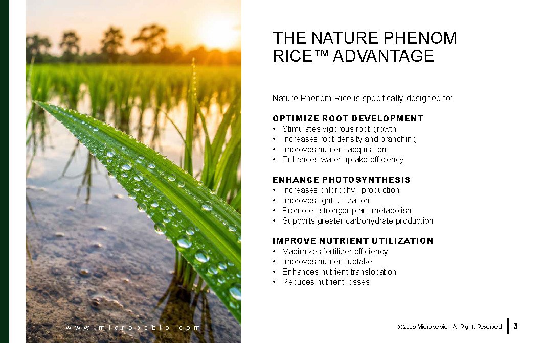 Microbebio NATURE PHENOM - RICE_Page_03