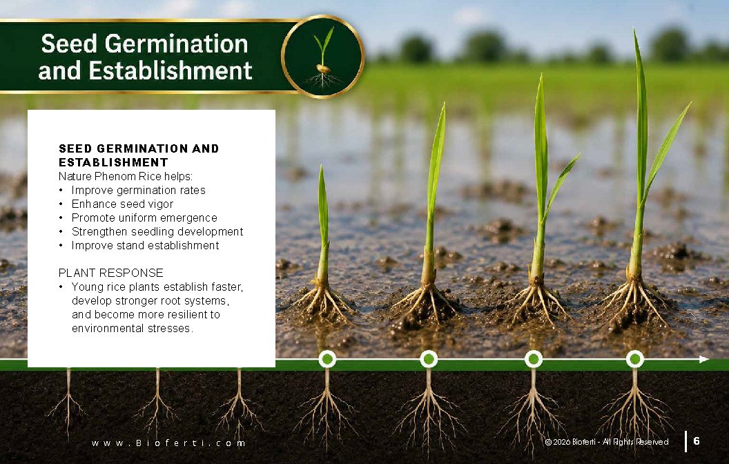 Microbebio NATURE PHENOM - RICE_Page_06
