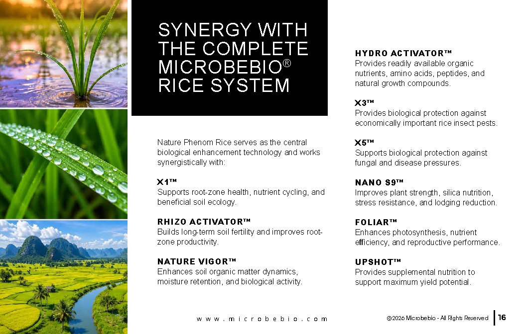 Microbebio NATURE PHENOM - RICE_Page_16