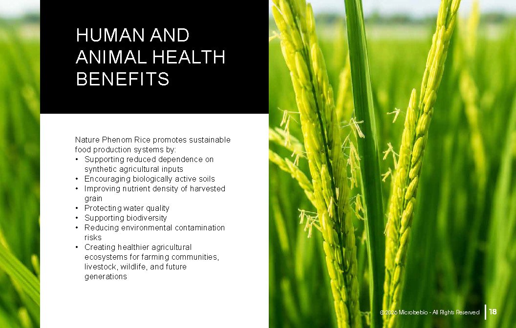 Microbebio NATURE PHENOM - RICE_Page_18