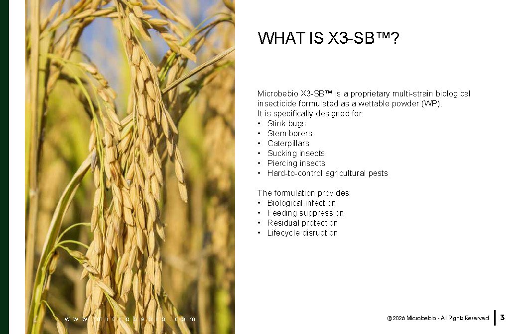 Microbebio- X3 - SB_Page_03