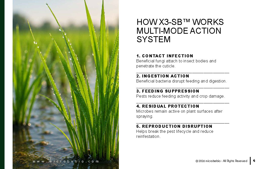 Microbebio- X3 - SB_Page_04