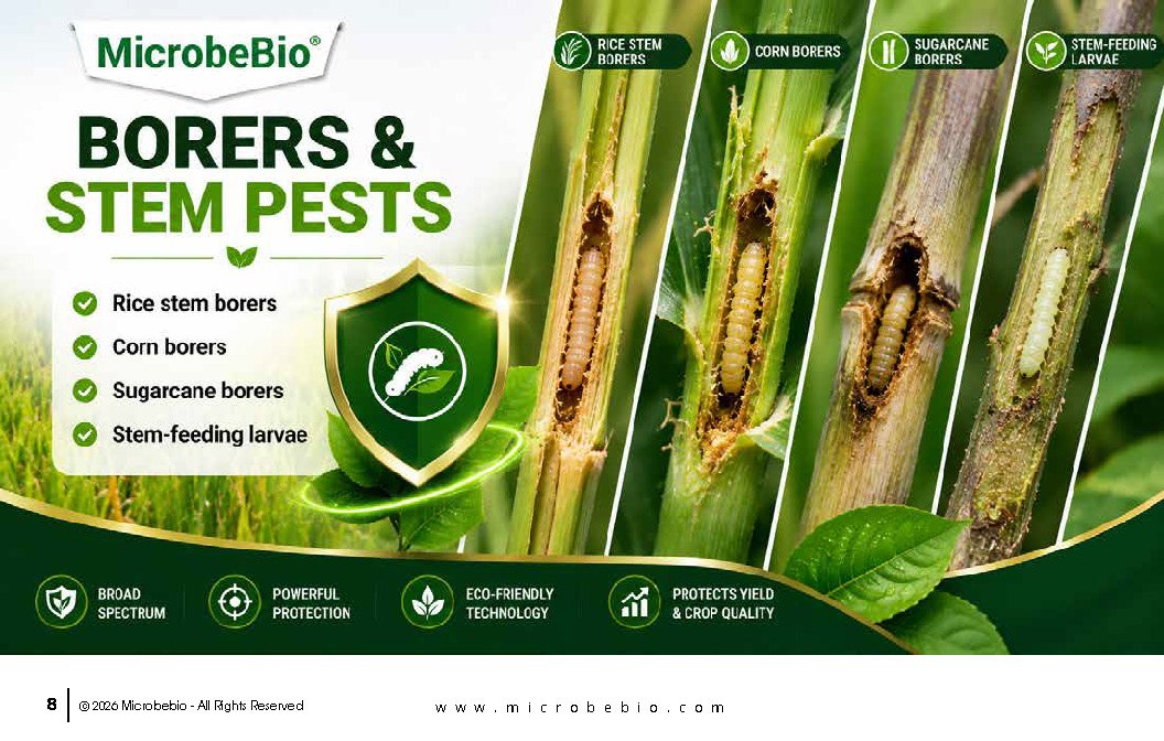 Microbebio- X3 - SB_Page_08