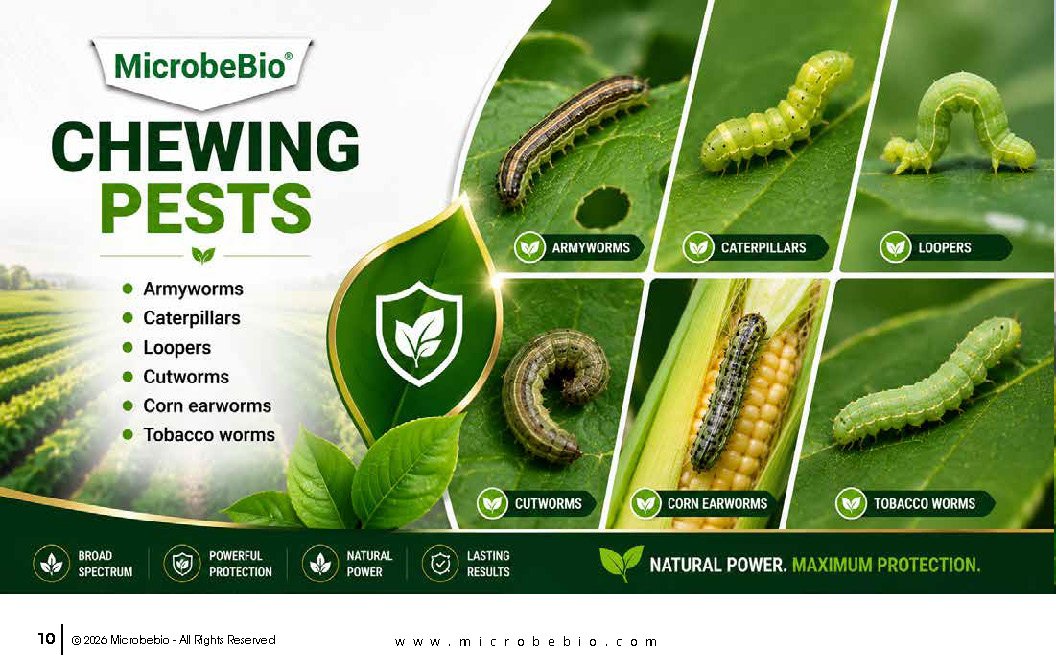 Microbebio- X3 - SB_Page_10