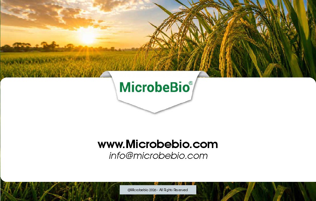 Microbebio- X3 - SB_Page_17