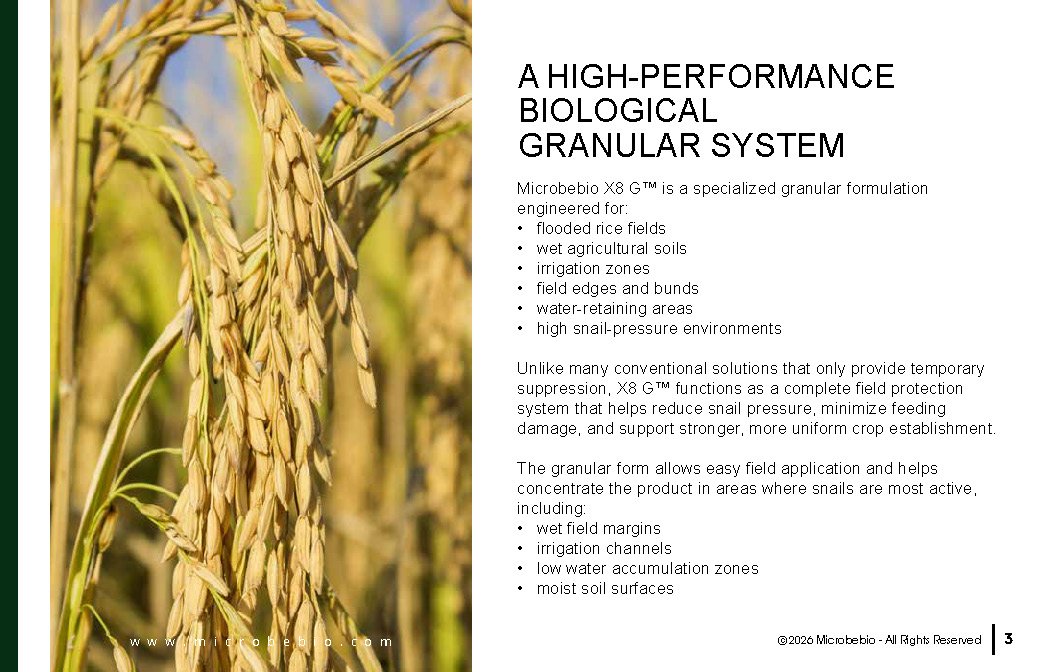 Microbebio- X8G Protect your field from day one Advanced biological granular protection for healthier crops_Page_03 Advanced biological granular protection for healthier crops