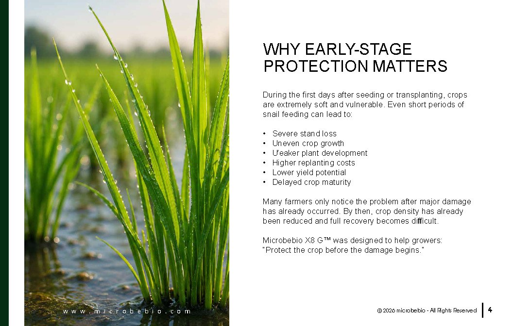 Microbebio- X8G Protect your field from day one Advanced biological granular protection for healthier crops_Page_04 Advanced biological granular protection for healthier crops