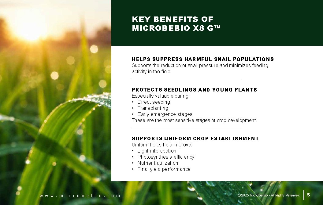 Microbebio- X8G Protect your field from day one Advanced biological granular protection for healthier crops_Page_05 Advanced biological granular protection for healthier crops