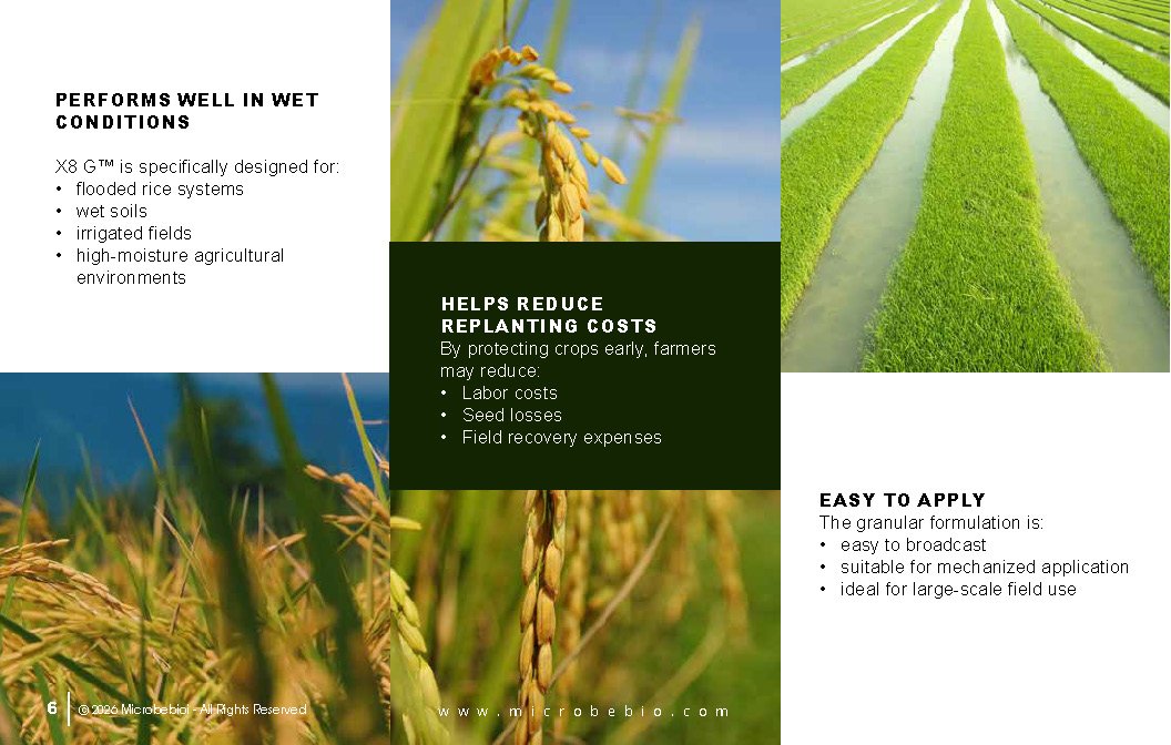 Microbebio- X8G Protect your field from day one Advanced biological granular protection for healthier crops_Page_06 Advanced biological granular protection for healthier crops