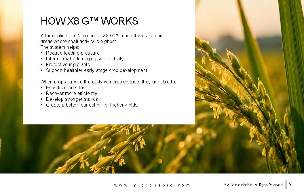 Microbebio- X8G Protect your field from day one Advanced biological granular protection for healthier crops_Page_07 Advanced biological granular protection for healthier crops