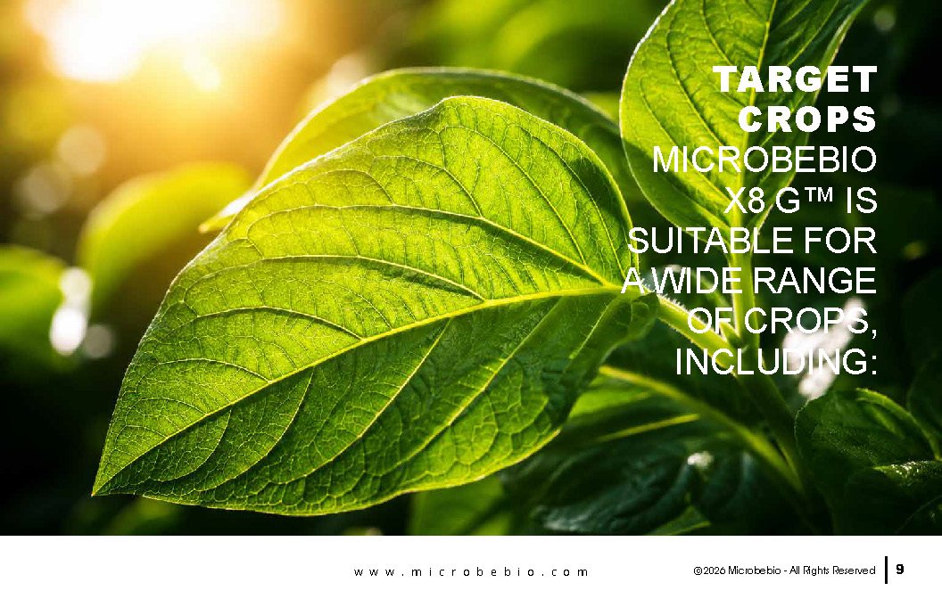 Microbebio- X8G Protect your field from day one Advanced biological granular protection for healthier crops_Page_09 Advanced biological granular protection for healthier crops