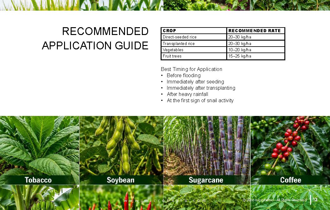 Microbebio- X8G Protect your field from day one Advanced biological granular protection for healthier crops_Page_12