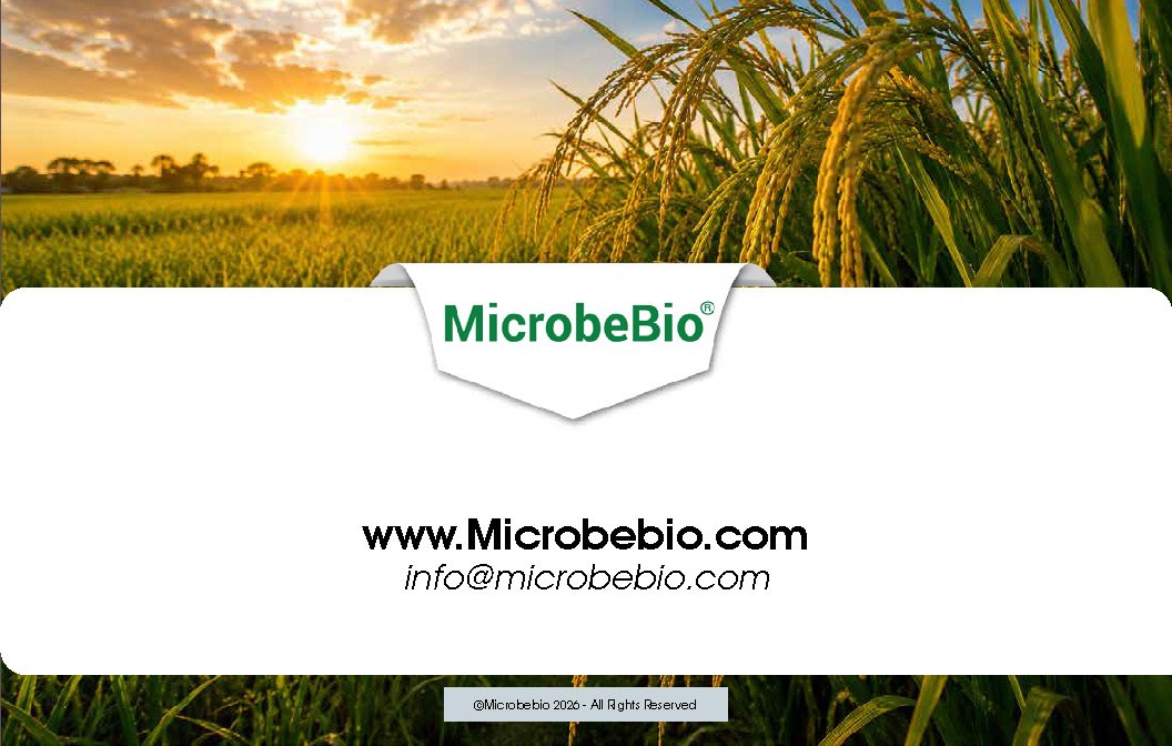 Microbebio- X8G Protect your field from day one Advanced biological granular protection for healthier crops_Page_15