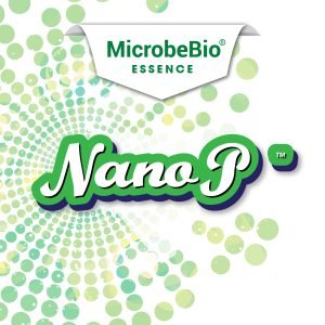 MICROBEBIO-ESSENCE P