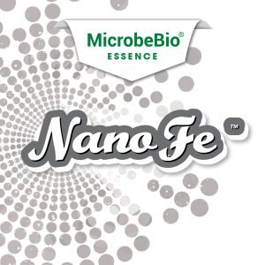 MICROBEBIO-ESSENCE Nano Fe