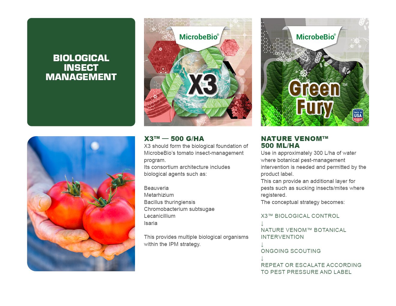 MICROBEBIO - TOMATO - ENGLISH - 08 10 202610