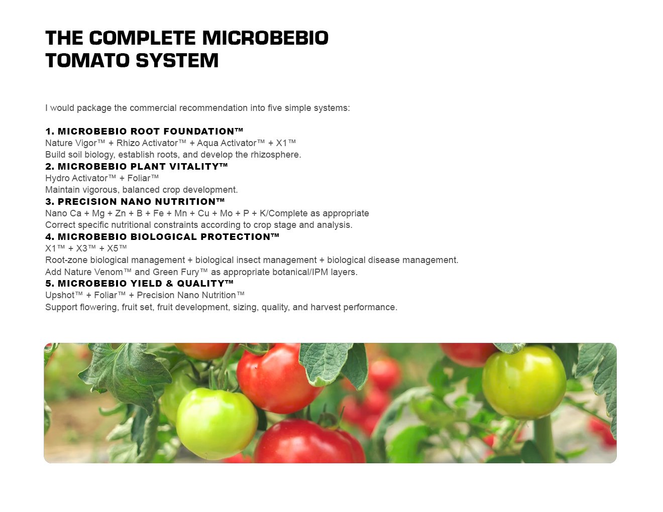 MICROBEBIO - TOMATO - ENGLISH - 08 10 202612