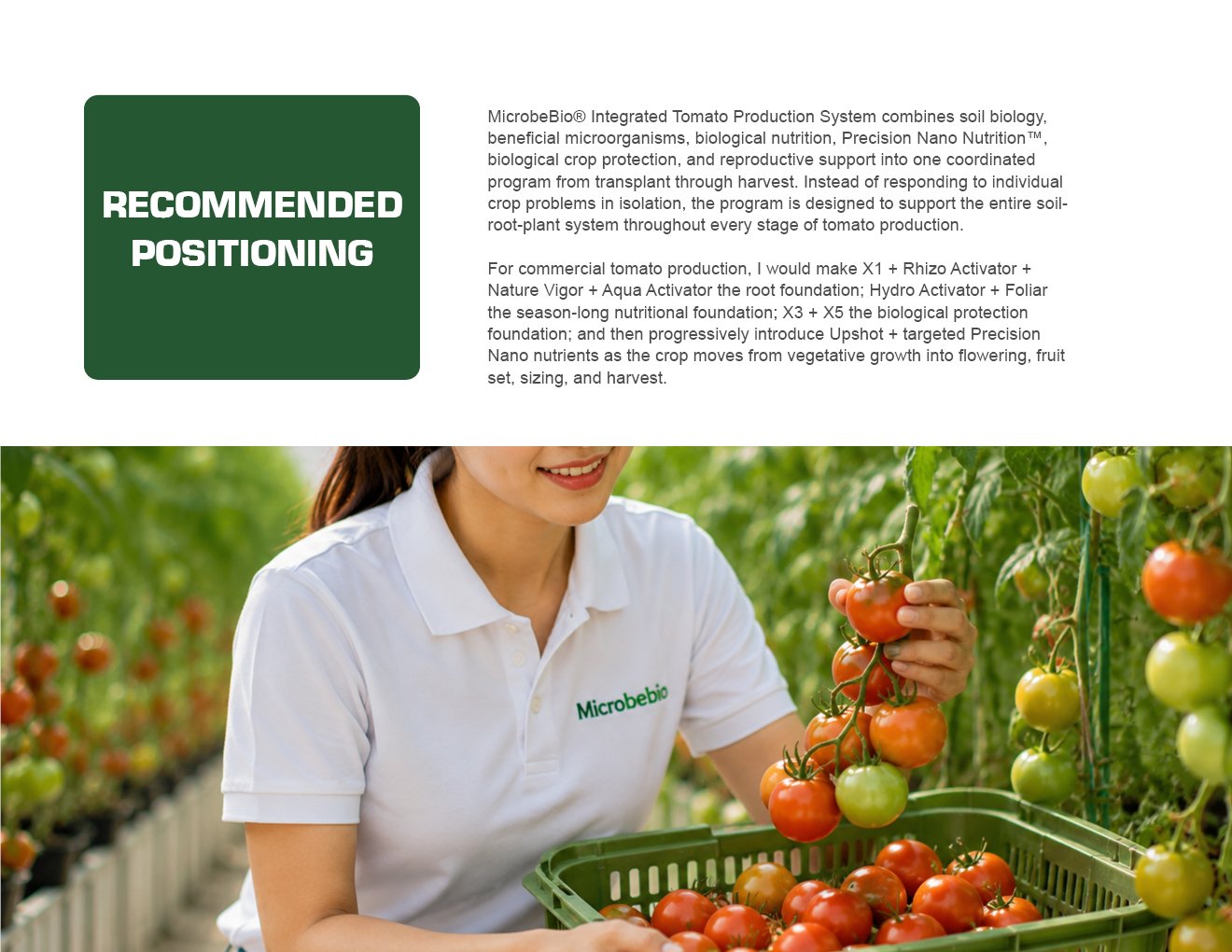 MICROBEBIO - TOMATO - ENGLISH - 08 10 202613