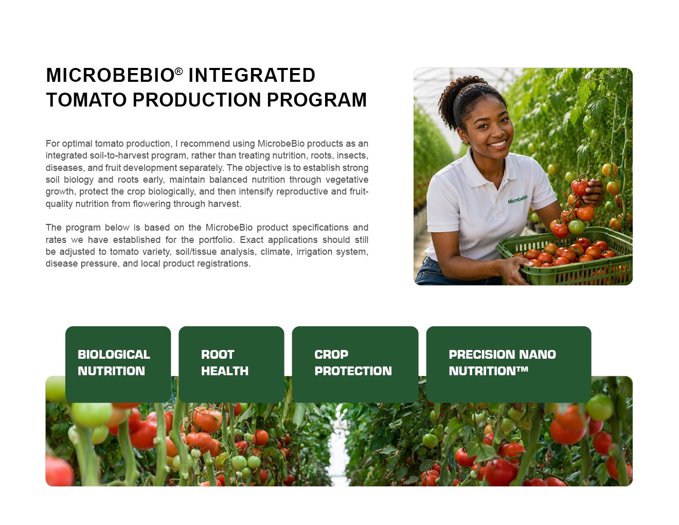 MICROBEBIO - TOMATO - ENGLISH - 08 10 20262