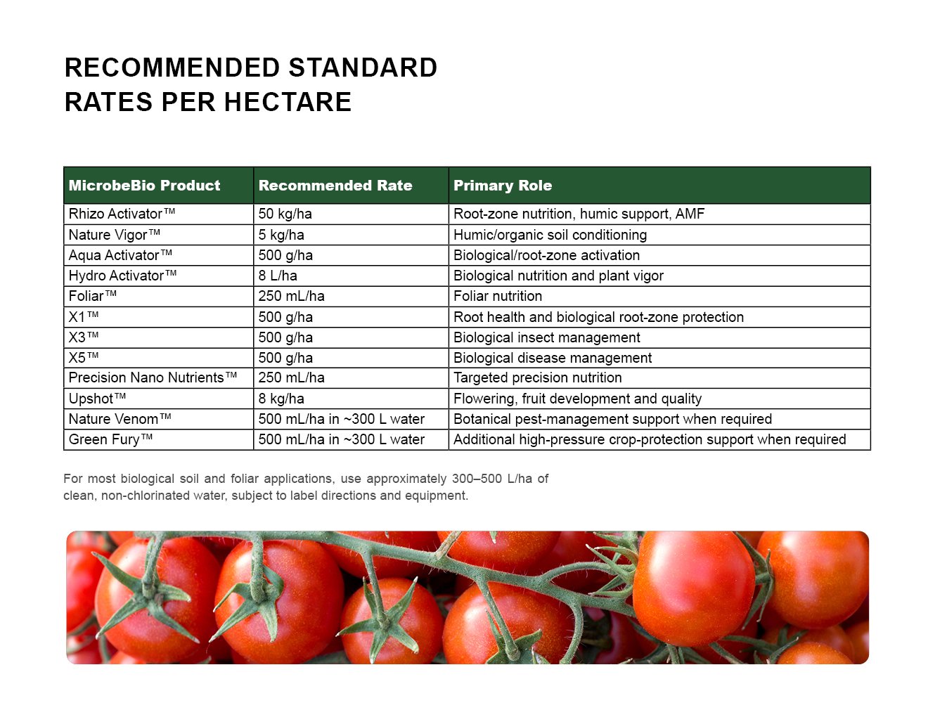 MICROBEBIO - TOMATO - ENGLISH - 08 10 20263